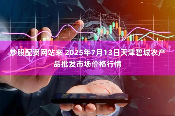 炒股配资网站来 2025年7月13日天津碧城农产品批发市场价格行情